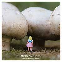 book_microworld.jpg